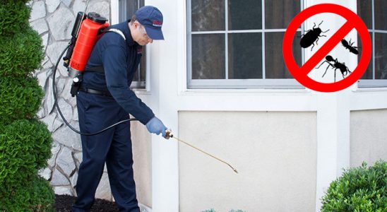 Gelibolu Hamam Böceği İlaçlama böcek ilaçlama ve haşere kontrolü — ilaclama-tr.com